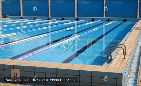 競技游泳池