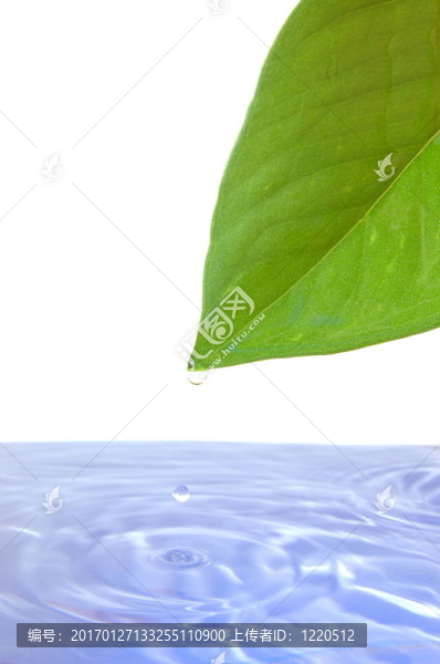 葉水