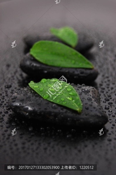 禪石養(yǎng)生觀