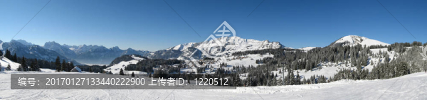 冬天的全景