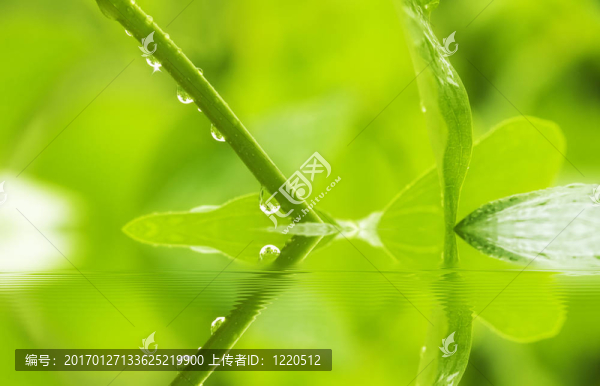 落下的雨滴