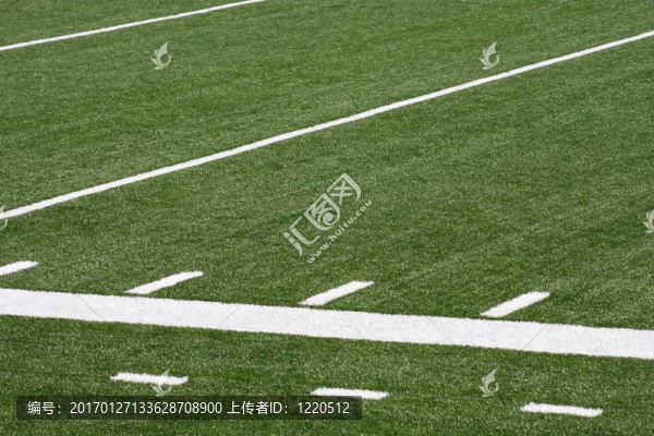 運動草坪