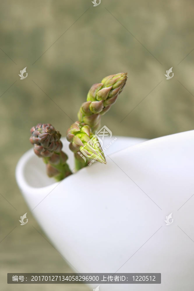 碗蘆筍