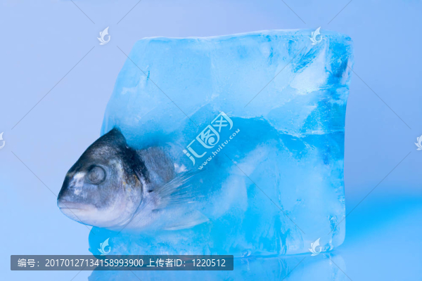 魚(yú)