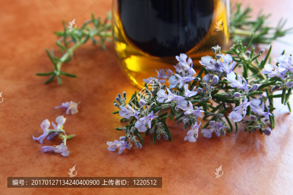 迷迭香和橄欖油