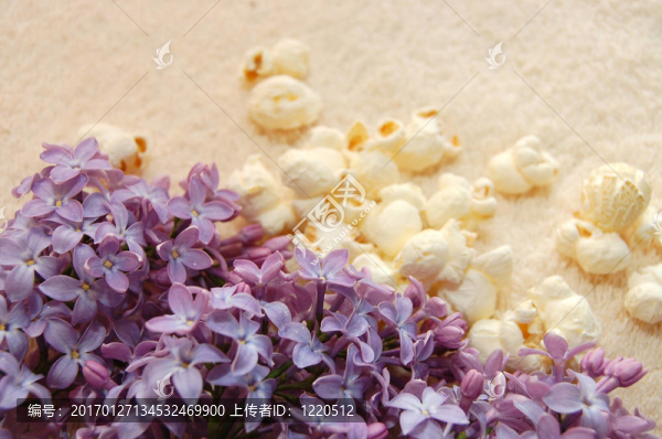 還有生活從一個淡紫色的毛巾