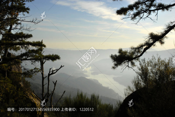 山
