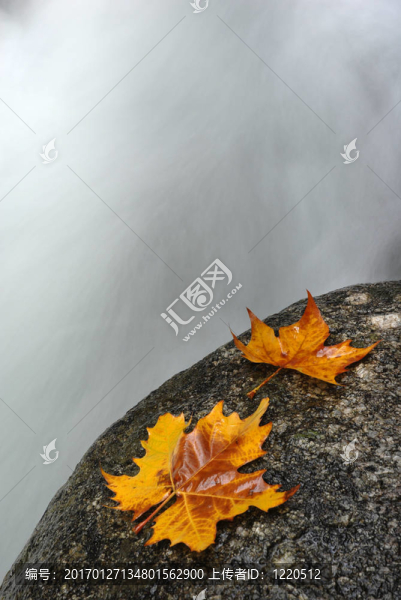 葉