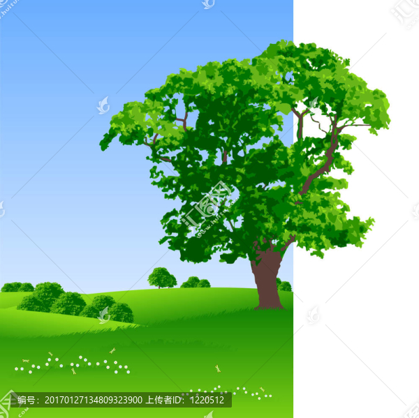 夏天的風(fēng)景