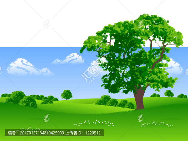 夏天的風(fēng)景