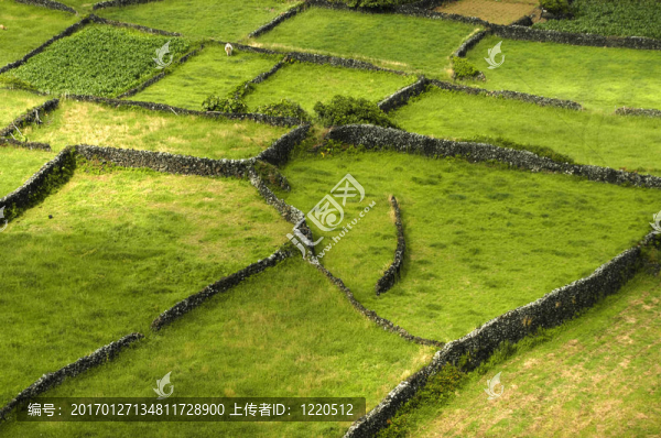 領(lǐng)域
