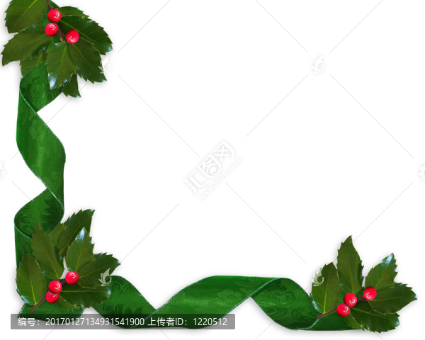 圣誕冬青和絲帶的邊界