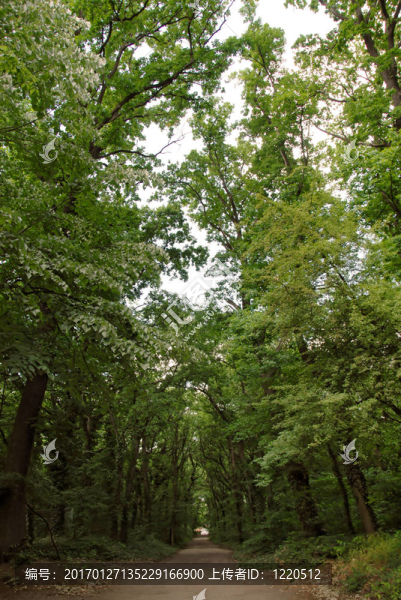 公園路