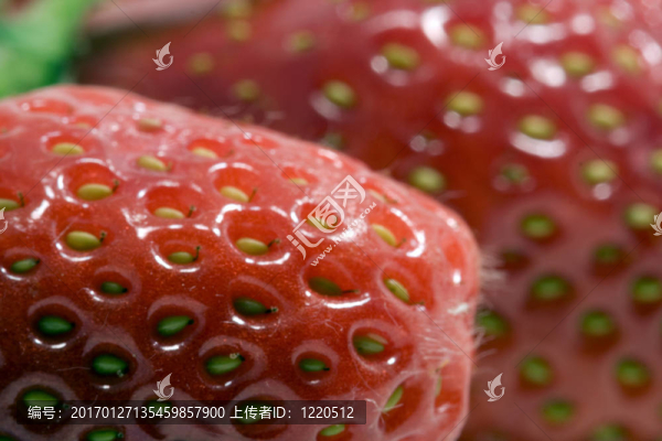 草莓