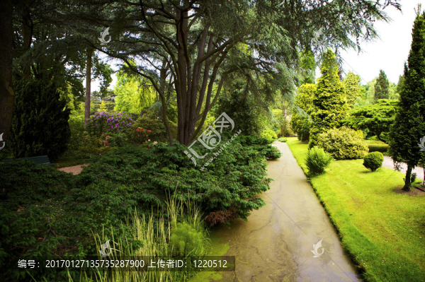在公園