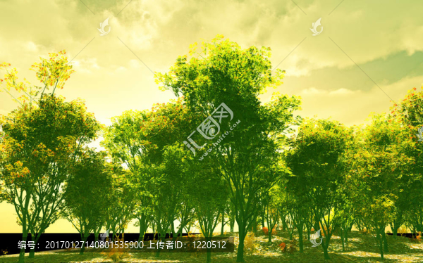 秋天的景色