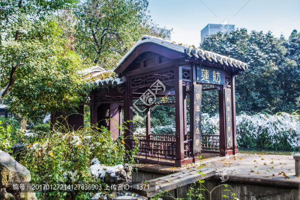 雪,蓮舫,包公園,合肥