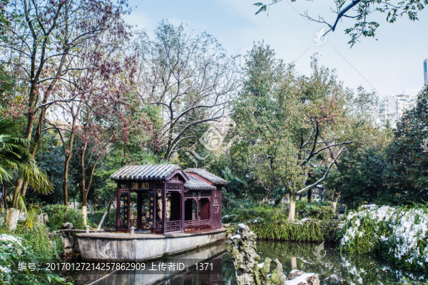 雪,蓮舫,包公園,合肥