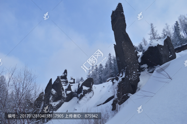 森林雪景