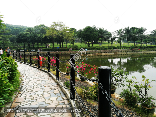 深圳中山公園風(fēng)景