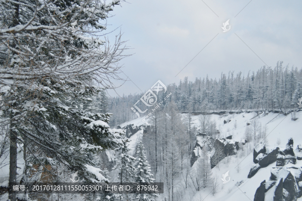 森林雪景