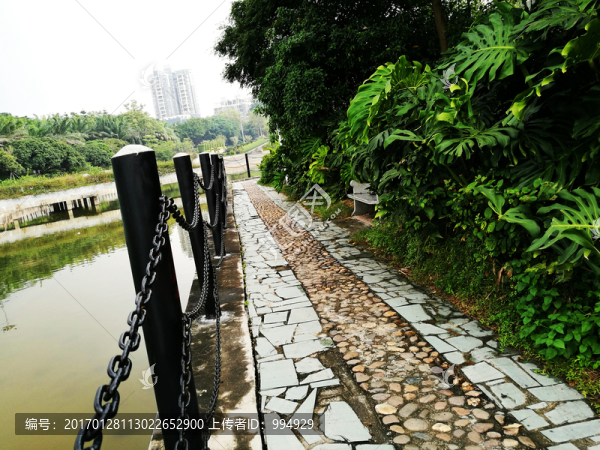 深圳南山中山公園