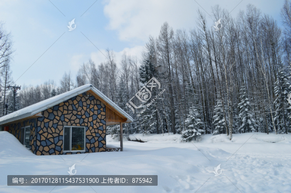 森林雪景