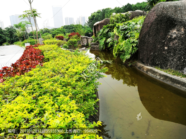 深圳中山公園景區(qū)