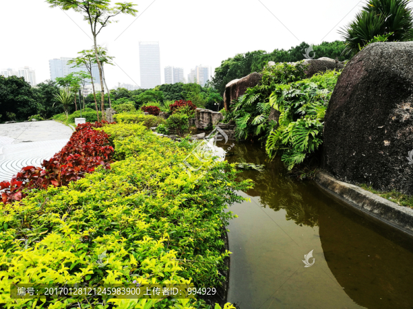 深圳中山公園景色
