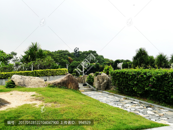 深圳中山公園