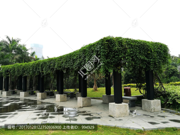 深圳中山公園
