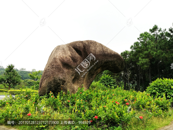 深圳中山公園風(fēng)光