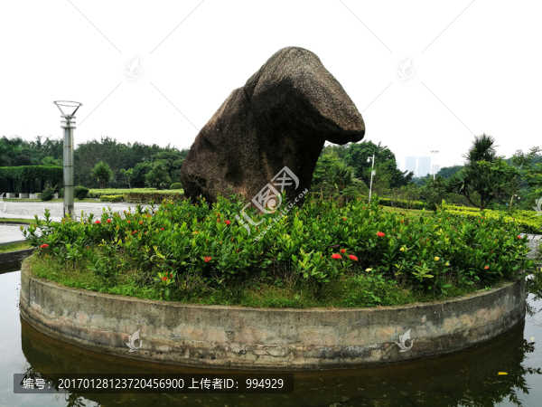 深圳中山公園風(fēng)景