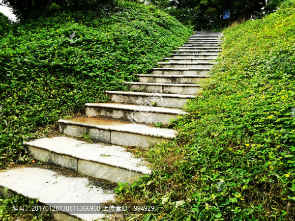 深圳中山公園小路