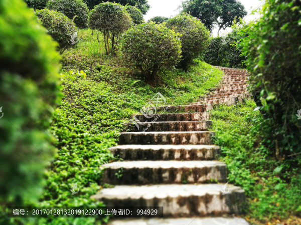 深圳中山公園景色