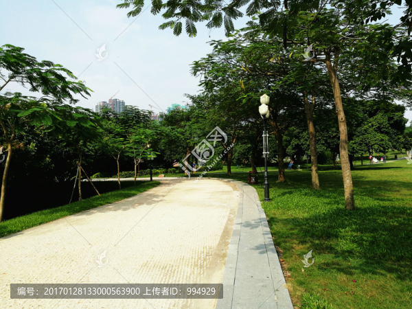 深圳中山公園