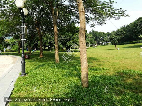 深圳中山公園景色