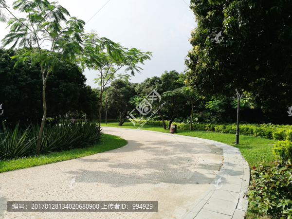 深圳中山公園