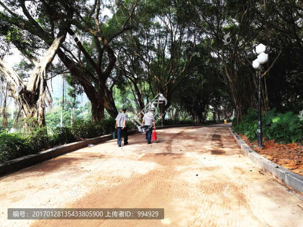 深圳中山公園