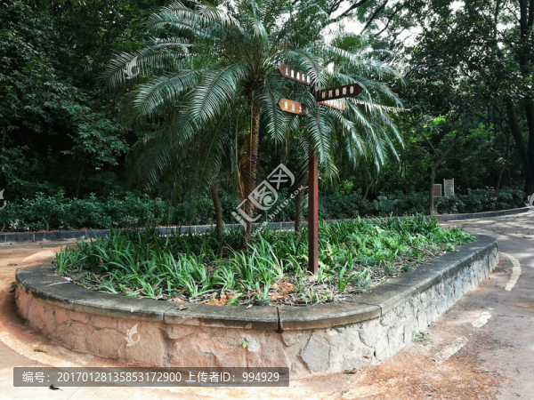 深圳中山公園