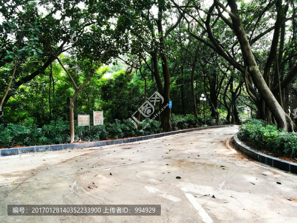 深圳中山公園景區(qū)