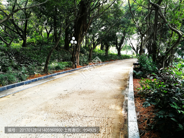深圳中山公園風(fēng)景