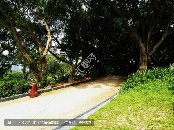 深圳中山公園