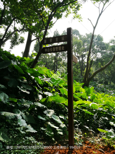 深圳中山公園路牌