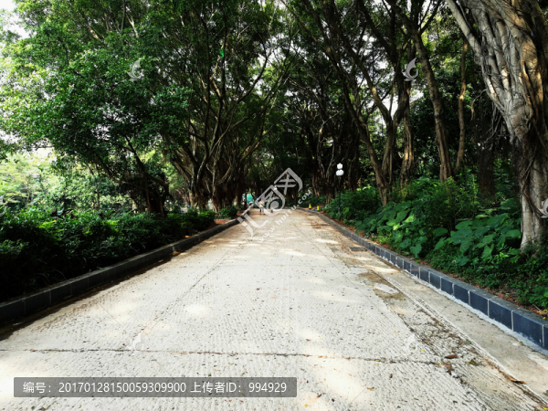 深圳中山公園道路