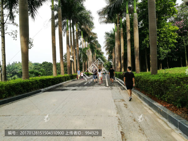深圳中山公園