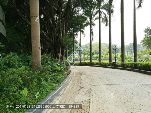 深圳中山公園風(fēng)景