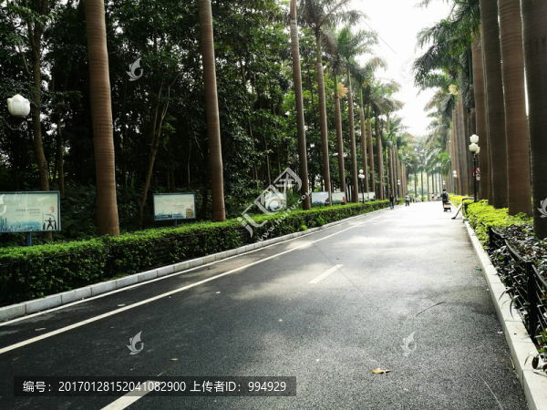 深圳南山中山公園