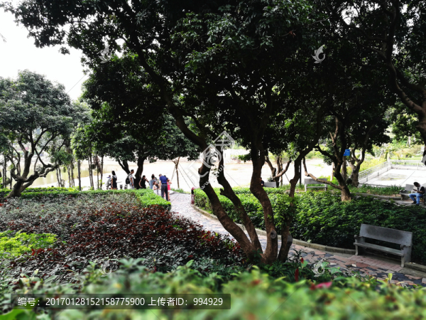 深圳中山公園
