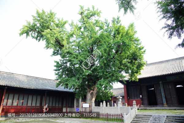 壽縣孔廟